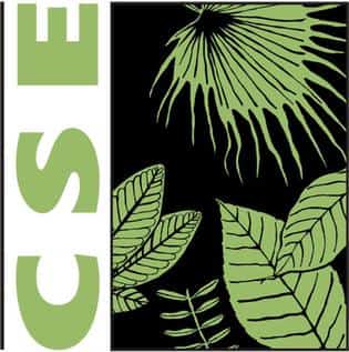 CSE Photography Fellowship & Contest