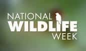 national wildlife week celebrations at delhi zoo in october