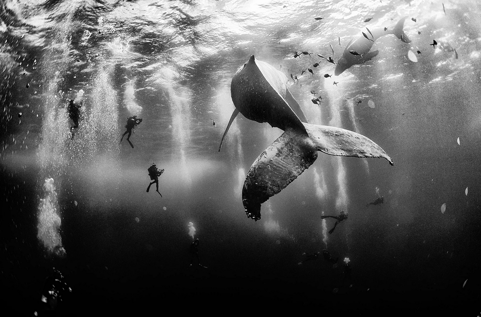 Winners of the 2015 National Geographic Traveler Photo Contest