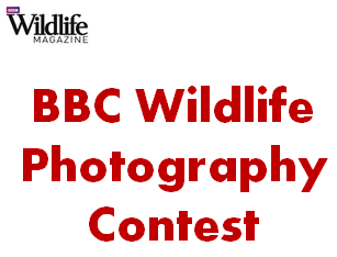 BBC Wildlife Photography Contest 2014