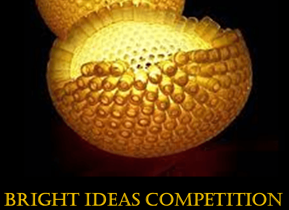 Bright Ideas Competition to participate in Commonwealth Youth Forum