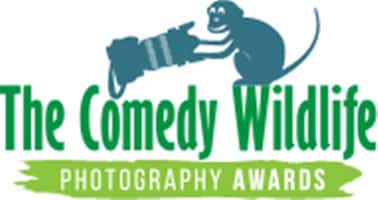 The Comedy Wildlife Photography Award