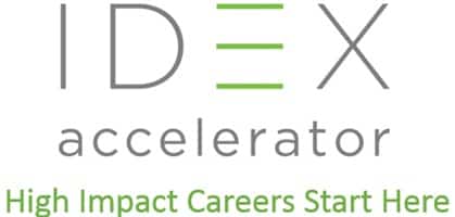 IDEX Global Fellowship Programme 