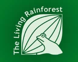 Living Rainforest Essay Competition