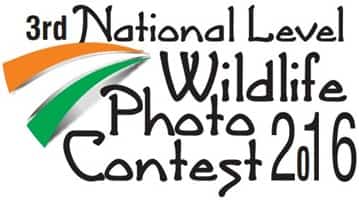 National Level Wildlife Photo Contest 
