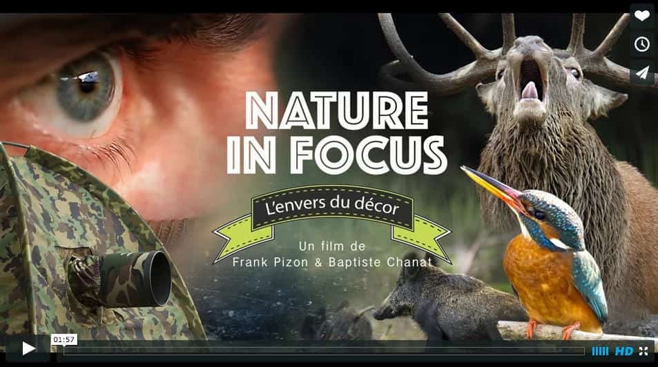 nature-in-focus-scholarship