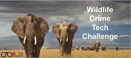 Wildlife Crime Tech Challenge