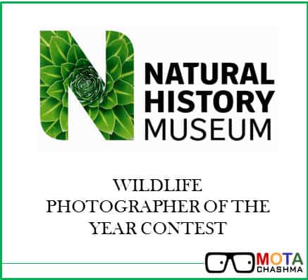 51st Wildlife Photography Contest- By Natural History Museum London