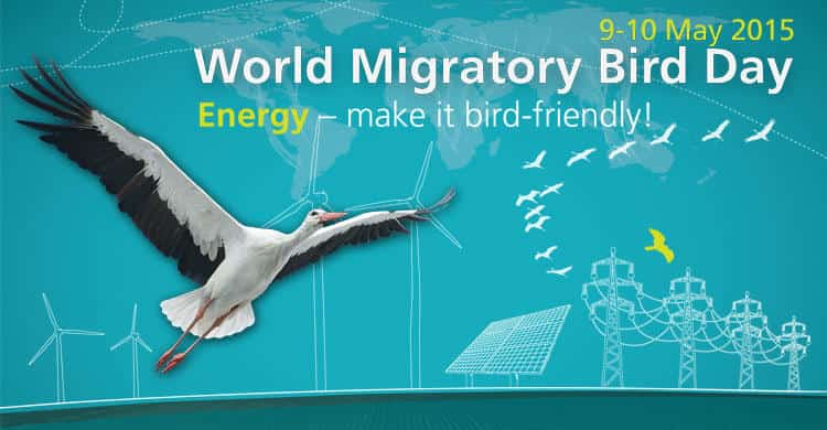 World Migratory Bird Day 2015 Video Contest	