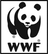 WWF Poster Making Competition