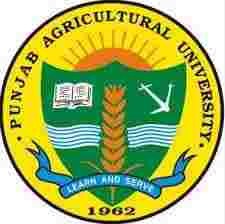 Punjab Agriculture University